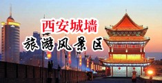 69xxoo中国陕西-西安城墙旅游风景区